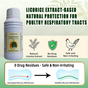 <span class=keywords><strong>Hu</strong></span> Du Qing飼料添加物は気管支炎を治療します肺炎は呼吸器系の健康をサポートします - Product Image 5