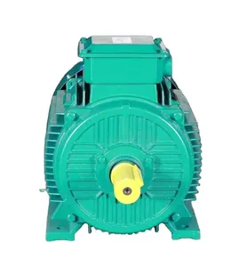 Classic Design Three Phase Asynchronous Motors YX3 Series Efficiency Motors For Pump