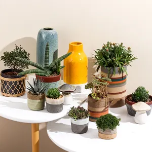 Klassieke Stijl Thuis Goede Decoratie Indoor Kleine Keramische Bloempotten Groothandel Ingemaakte Succulent Pot