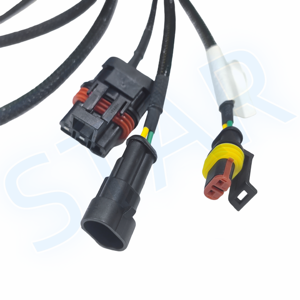 OEM Fabrik Preis Custom Automotive DT06-4S Wasserdicht Deutsch Stecker AMP Supers eal 2 Pin Stecker Kabelbaum - Product Image 4