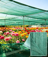 Voile d'ombrage pour jardin, filet pare-soleil vert avec œillets, bâche en maille pour plantes, serre et terrasse