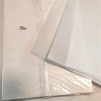 Essbares Waferpapier Schmetterling A4 100 Blatt 0,35mm Großhandel Direkt ab Werk B2B-Lieferung OEM Vorrätig Kuchendekoration