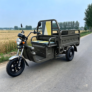 Triciclo Eléctrico de 1000W con Certificación EEC COC, Alta Potencia para Transporte de Mercancías Agrícolas y Entrega de Última Milla - Product Image 1