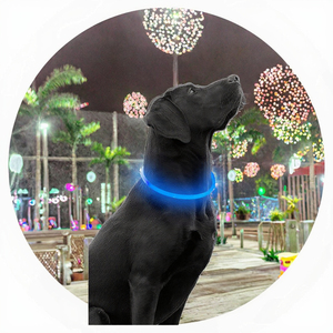 <span class=keywords><strong>Collar</strong></span> Luminoso para Perro con Cintas LED Recargables por USB - Product Image 5