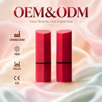 OEM&ODM Tubes de baume à lèvres vides en plastique, forme cœur, rouge, avec logo personnalisé, prix bas, les plus vendus, promotionnels et luxueux