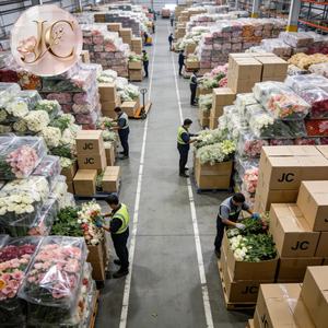 Décor de mariage de luxe réaliste fait main <span class=keywords><strong>en</strong></span> soie, arche carrée verte avec roses et orchidées, fleurs artificielles personnalisables pour mariage - Product Image 6