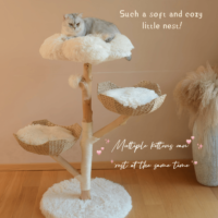 Structure d'escalade et lit pour chat en bois massif, sisal tressé à la main, style moderne, écologique et naturel, pour arbres fruitiers
