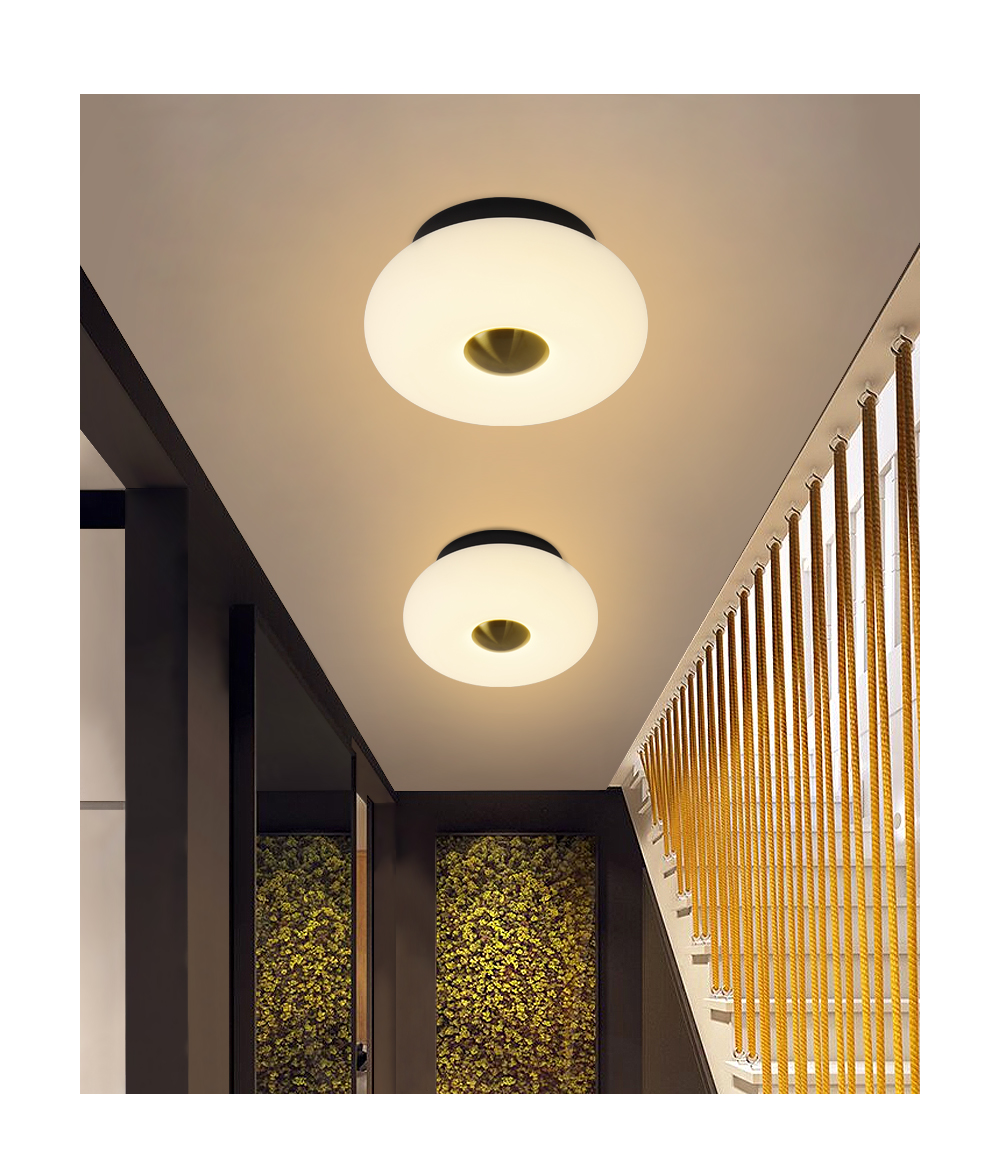 Modern Popular 3 Color changeable Round Led Ceiling Light 12w 24w PE Lamp For North Europe