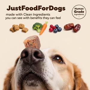 10-em 1 suplemento multifuncional mastiga para cães, glucosamina, ácidos graxos ômega-3, saúde das articulações, probióticos, multivitaminas cão - Product Image 3