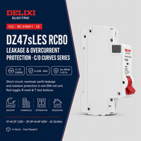 DELIXI Double Pole RCBO 20A 2P C Curve PA66 Pemutus Arus Residual Tembaga 230V 6kA Perlindungan Kebocoran Bersertifikat CE Kompak