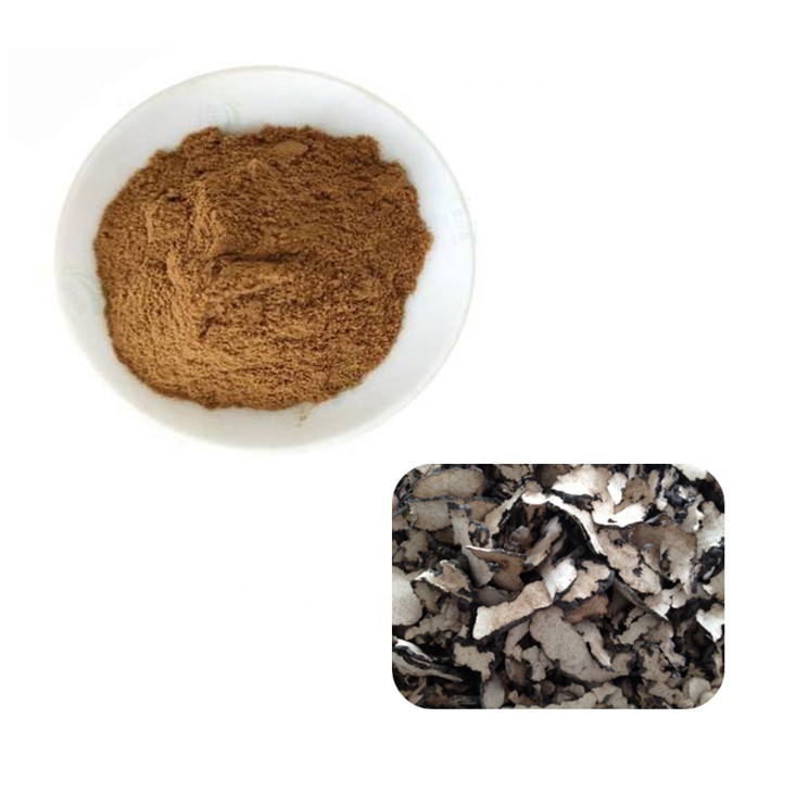 Рекомендуемый заказчиком Polyporus Umbellatus P.E. Порошок экстракта грибов