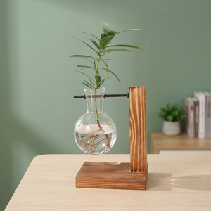 Vase en verre sur support en bois moderne, propagateur de plantes hydroponiques, décoration de bureau intérieure, style minimaliste, finition émaillée écologique - Product Image 4