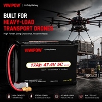 OEM/ODM Tersedia Baterai Drone Lithium Semi-Solid 17000mah 12S 5C Bersertifikasi CE untuk Drone Logistik Angkut Berat
