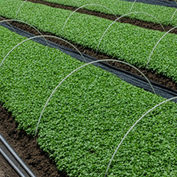 Tige en fibre de verre haute résistance FRP GRP, poteau rond solide pour serre de jardin, support de plantes, cadre de tente