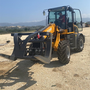 शीर्ष ब्रांड एवरन निर्माता फ्रंट लोडर टेलीस्कोपिक एर्2500F उपकरण डीजल टेलीस्कोपिक बूम मिनी व्हील लोडर - Product Image 4