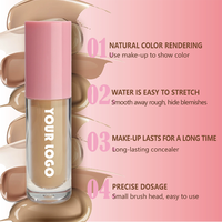 Échantillon Gratuit - Vente en Gros - Correcteur Liquide Mat Naturel Haute Pigmentation Couvrance Totale Imperméable Personnalisé pour Marque Privée