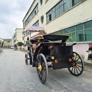 รถม้าไฟฟ้าสำหรับงานแต่งงาน รถม้าชมวิว รถม้าชมวิวเวียนนา - Product Image 5