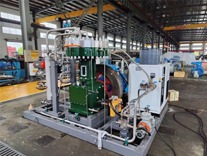Compresseur d'hydrogène à diaphragme haute pression 50nm 3/h 20mpa 700 bar 200 bar 300 bar booster au <span class=keywords><strong>prix</strong></span> d'usine - Product Image 3