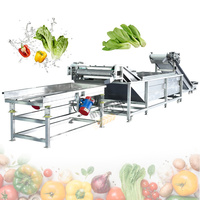 Automatische Aardappelui Reinigingsmachine Citroen Mango Aardbei Fruit Groente Bubbel Wasmachine