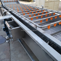 Automatische Industriële Groente Mango Bubbel Wassen Datum Bosbessen Aardbei Fruit Wassen Verwerkingslijn