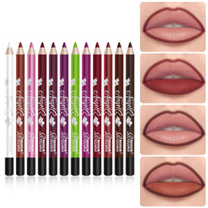 Nouveauté <span class=keywords><strong>Crayon</strong></span> à lèvres minéral naturel longue durée imperméable à haute pigmentation lisse Ensemble de crayons à lèvres 12 couleurs Ensemble de crayons à lèvres personnalisés CE - Product Image 4