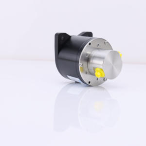 Pompe à engrenages magnétique en acier inoxydable 24V de précision et efficace avec anneau métallique à rotor court 4 pôles pour GQC010ESLB03 à double sortie - Product Image 2