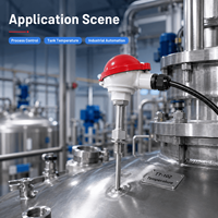 Class A Pt100 Temperature Sensor with Multiple Thread Options for Standard Industrial Liquid and Gas Temperature Measurement