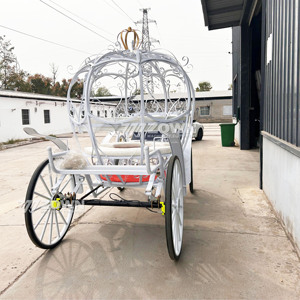 Carroza de Caballos Eléctrica Personalizada de Fábrica para Turismo, Carroza de Boda de Princesa, Carroza de Caballos Tipo Calabaza al por Mayor - Product Image 3