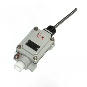 Explosion-Proof Travel Switch Explosion Proof General Electrical Limit Switch LX5