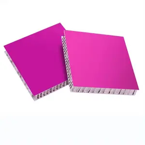 Color Painting Wall Honeycomb Panels Aluminum Hollow Core Wall Panel Aluminium Honeycomb Panel