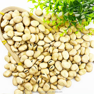 Fèves séchées de haute qualité Plantation naturelle Goût original Fèves - Product Image 4