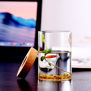 Station de propagation classique pour plantes en <span class=keywords><strong>terrarium</strong></span>, pots en verre transparent pour plantes hydroponiques, décoration de sol et de maison - Product Image 3