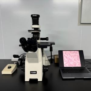 Microscopio de Contraste con Modulación Hoffman MF53-PMC para aplicaciones de asistencia reproductiva IVF - Product Image 2