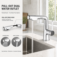 Robinet de lavabo extractible en alliage avec poignée unique, finition chromée, pour lavabo, robinet de salle de bain extractible