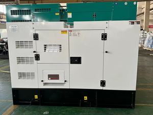 Générateur portable 8kw 9kw 10kw 12kw 15kva pour usage extérieur avec moteur de marque Yangdong - Product Image 5