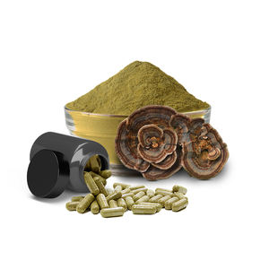 OEM 100% Extractos De Plantas de Turquia cauda pó extrato <span class=keywords><strong>Yunzhi</strong></span> extrato pó cápsula - Product Image 2