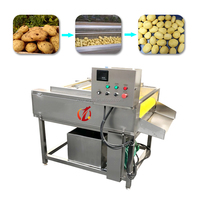 Nieuwe, voedselveilige roestvrijstalen machine voor het wassen en schillen van groenten, geschikt voor de verwerking van aardappelen, gember en bieten