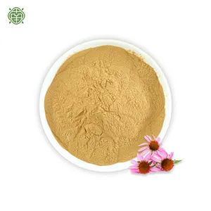 Nanqiao ISO Factory High Quality Natural Herbal Extract Purple Daisy Extract Powder Polyphenols 4%-10%