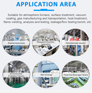 [Remise d'aujourd'hui] Débitmètre massique numérique à zone variable micro haute précision pour air et gaz, OEM, plastique, liquide/gaz - Product Image 5