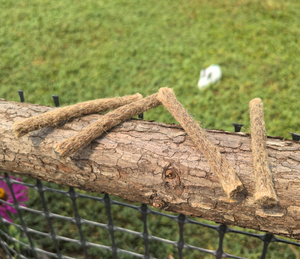 Nhà Máy Lửa Làm Công Cụ Gai Tinder Cháy Khởi Động Dây Tự Nhiên Đay Dây Bấc Ngoài Trời Hick - Product Image 4