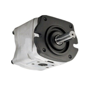 Pompe à engrenages interne série High IGH IGH2F8R IGH3F13R IGH3F16R, pompe hydraulique à faible bruit pour cisailles hydrauliques - Product Image 4