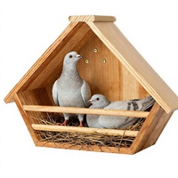 Casetta per Colibrì in Legno Stile Rustico, Forma Triangolare con Motivo Geometrico, Viti Incluse, per Tutte le Stagioni, da Esterno