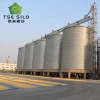Silos en acier à fond plat ondulé galvanisé à chaud TSE pour la brasserie, pour le riz, IoT, dimensions 8,2 m x 8,2 m x 18,29 m, garantie 1 an