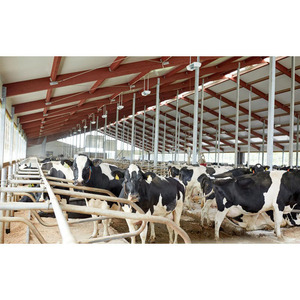 Almacén Prefabricado de Estructura de Acero Moderno y Económico <span class=keywords><strong>2022</strong></span> - Product Image 1
