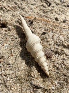 HLESATAAND T SELMEETIIVRRIFFRRROM M IE - Product Image 6