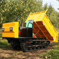 Véhicule de transport sur chenilles à moteur diesel personnalisable, certifié CE, garantie 1 an, capacité 2 tonnes, machine basculante haute performance