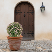 Boule de topiaire artificielle en buis sur mesure OEM, sphère végétale en PE résistante aux UV et à l'eau pour la décoration de jardins, patios et événements