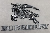 Étiquettes de logo de marque TPU/PVC coupant la machine à haute fréquence d'impression thermique de gaufrage pour des accessoires de vêtement