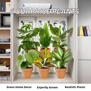 Ensemble de 6 plantes synthétiques Surprise |   Approx. 40-70 cm |   Diamètre du pot : 12-15 cm |   Produits cultivés par des experts <span class=keywords><strong>pour</strong></span> le bureau à domicile, livraison rapide, vert - Product Image 2