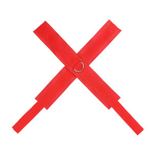 Menottes SM pour la bondage, accessoires d'entraînement, produits sexuels pour couples, instruments de tortion partagés homme-femme, produits pour adultes - Product Image 2